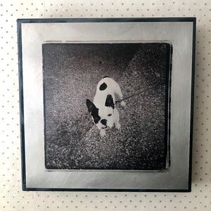 Original Photography Art, Bull Dog Transfer on Brushed Aluminum